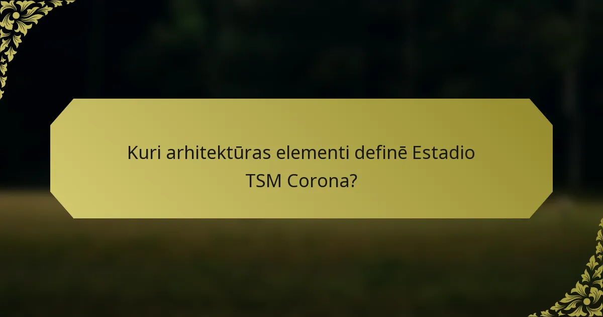Kuri arhitektūras elementi definē Estadio TSM Corona?
